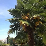Flores Hotel Porec