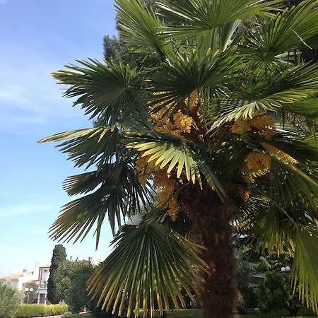 Flores Hotel Porec