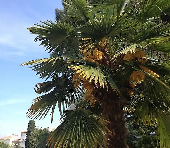 Flores Hotel Poreč