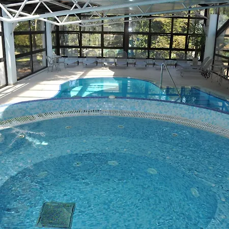Hotel Flores